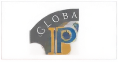 GLOBA Transformation & Leadership Institute logo